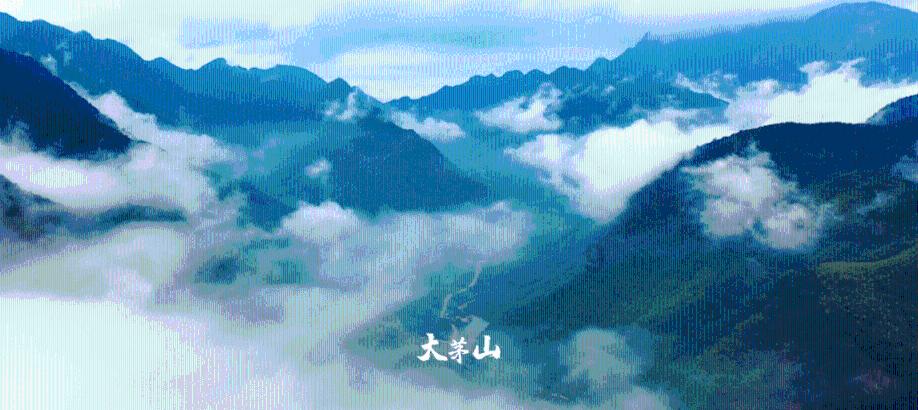 熊磊晒姚策陪儿子玩耍画面，言宝被夸超可爱，田静晒娃疑内涵婆婆