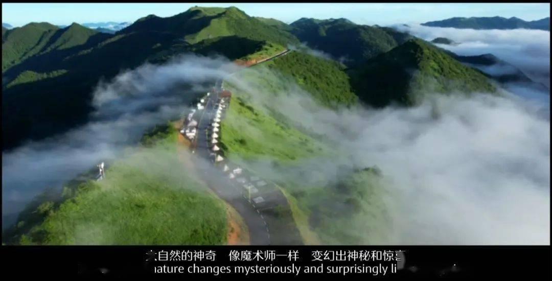 镜之边缘