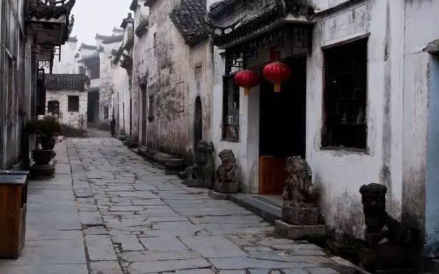 逃离金色蜜蜂森林